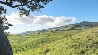 Endless Green Horizon 🌿☁️