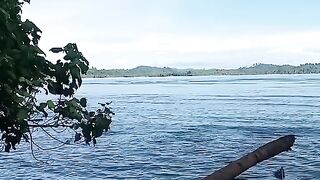 Pemandangan 41