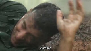 Movie 246