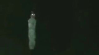 Penampakan Di kebun sawit