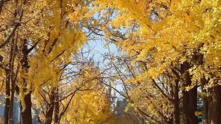 Very beautiful natural scenery 7