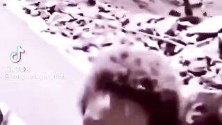 Reflexão 50