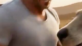 Bruce Lee brigando com canguru