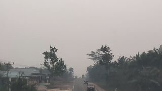 perjalan menuju kota borneo