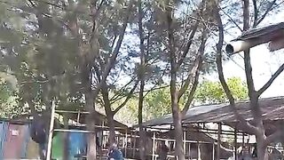 Masih di pantai