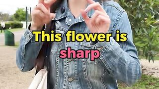 This flower is sharp