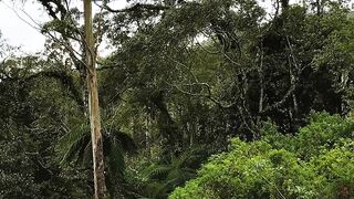 Indonesia's nature 2