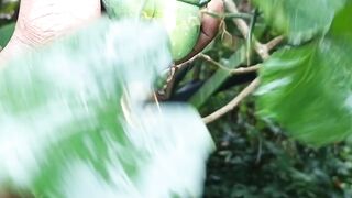 The Magical Benefits of Telakucha Fruit for Controlling Diabetes”