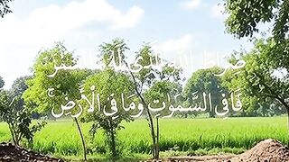 Quran majeed Islamic video 6 2