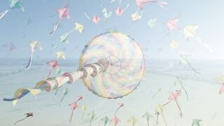 Balloon Festival in the United States - 美國熱氣球節