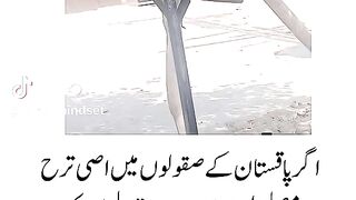 Faiza mindset