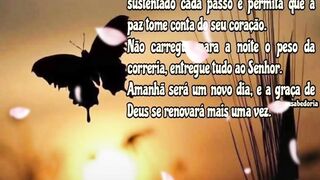 Boa noite com carinho❤️🙏❤️