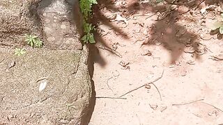 My place waterfall🏞️🏞️🏞️