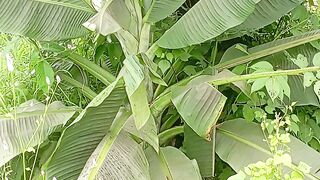 #/nature prakriti 🌵🌵🌵