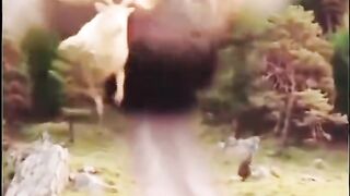 movies #moviescenes #movieclip #trending #actionmovies #fypviralシ 29