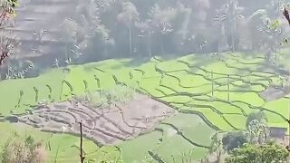 Naik delman 2