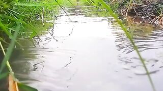 Suasana air yang mengalir di sawah..dan suara airnya menenangkan hati