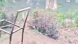 Sudah menghindar tetap kena.