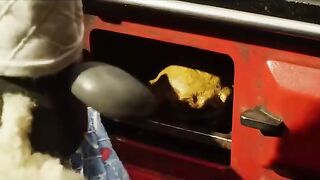 Shaun The Sheep part4
