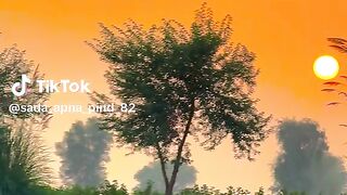 Nice video 796