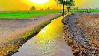 Nice video 797