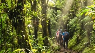 Indonesian mountain nature