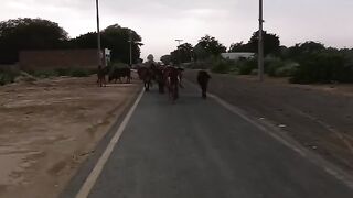 AQMvipZuu