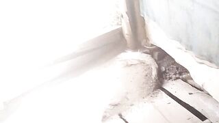পাটি অফিস