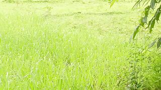 #प्रकृती नेचर