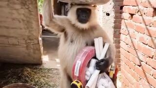Funny shots 5