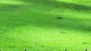 alam Negeri Dongeng China Di Hulund Grasland Keindahan