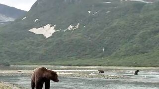 Edge of the Earth: The Katmai Chronicles