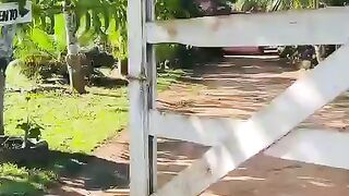 Cachoeira 7