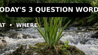 Three questions words,what,where,who