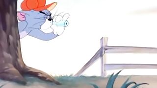 Tom Chases Jerry… Then a Woodpecker Joins the Chaos! 😂🐦