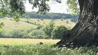 nature 47