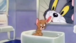 Jerry Meets an Adorable Tiny Mouse… Too Cute! 😂🐭❤️