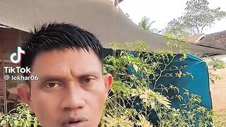 Plonga