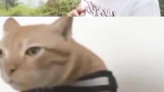 FULL a day in my life viral