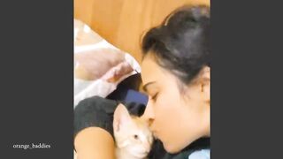 Cute kittens being overdramatic