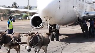 L’avion .