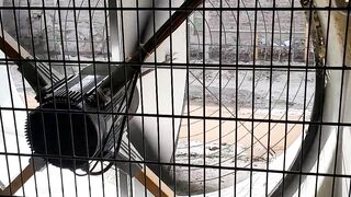 Ventilation system