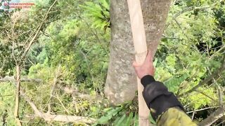 “Bee Aggressive on Tall Tree”