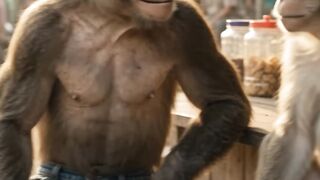 Monkey funny,