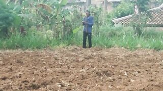 Made garden