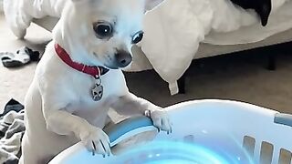DIGUINHO