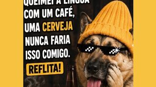 siga @socratesitba