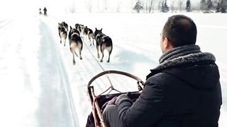 Epic husky sled adventure