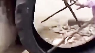 La roue .