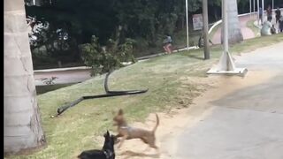 TWO STRANGERS, One CURIOUS ENCOUNTER”